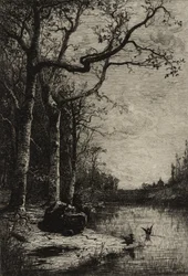 Le Marais de Burbanche (grande planche), vers 1870