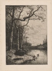 Les marais de la Burbanche