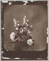 Sans titre (arrangement floral)