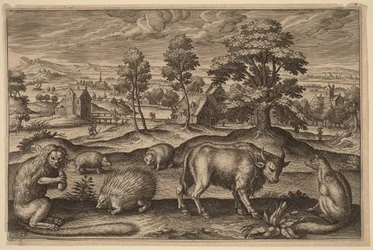 Un singe, un porc-épic, deux hérissons, un buffle et un renard