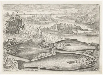Trois poissons sur la plage