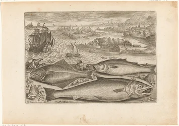 Trois poissons sur la plage