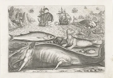 Un mulet, un lion de mer et une baleine sur la plage