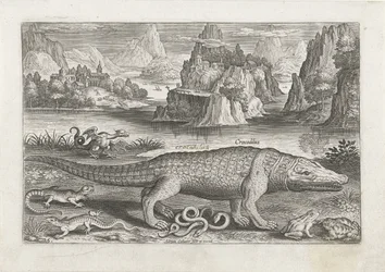Quelques reptiles et amphibiens sur une rive (Vissen, Piscivm vivae icones)