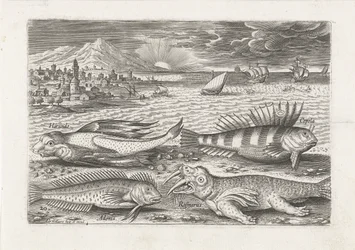 Quelques poissons et un morse sur la plage (Piscivm vivae icones)