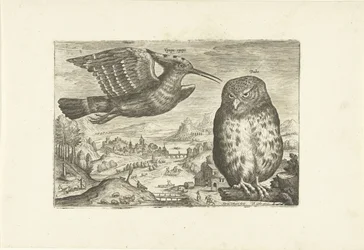 Quelques oiseaux dans un paysage