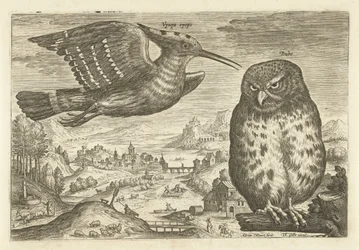 Quelques oiseaux dans un paysage (Avivm vivae)