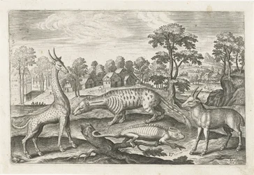 Animaux exotiques. Animalivm Qvaddrvpedvm