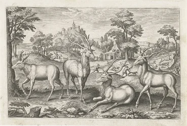 Cerfs
