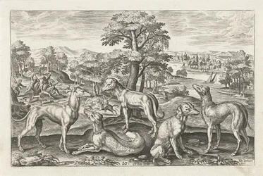 Chiens de chasse