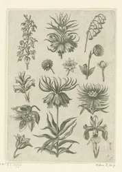 Couronne impériale, orchidée et muguet