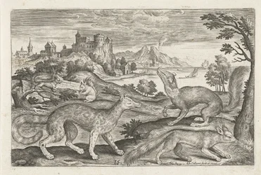 Martres, écureuils et un renard (Vierpotige dieren, Animalivm Qvaddrvpedvm)