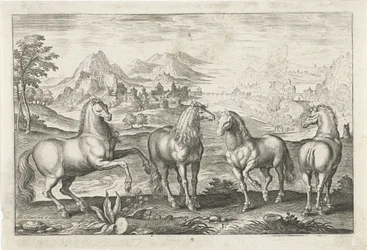 Chevaux (Vierpotige dieren, Animalivm Qvaddrvpedvm)