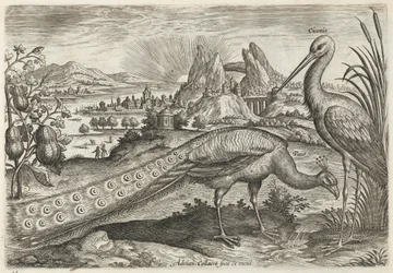 Paon et cigogne