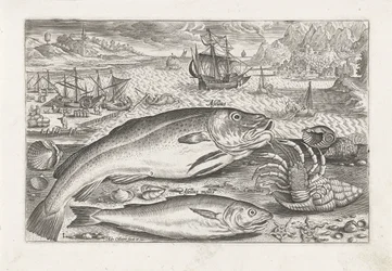 Deux poissons sur la plage