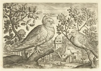 Deux oiseaux dans un paysage (Avivm Vivae)