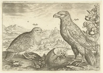 Deux oiseaux dans un paysage