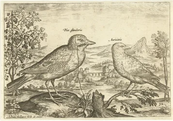 Deux oiseaux dans un paysage