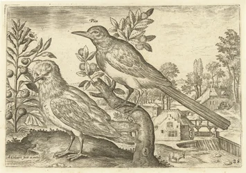 Deux oiseaux dans un paysage