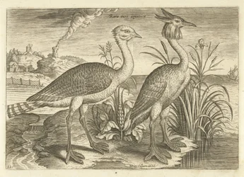 Deux échassiers dans un paysage