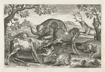 Animaux combattants, Animaux quadrupèdes (titre de la série)