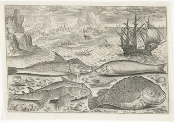 Quatre poissons sur la plage