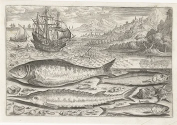 Quatre poissons sur la plage
Piscivm vivae icones (série)