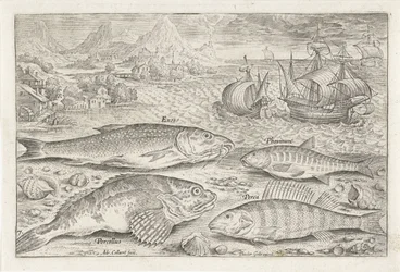 Quatre poissons sur la plage
Piscivm vivae icones (série)