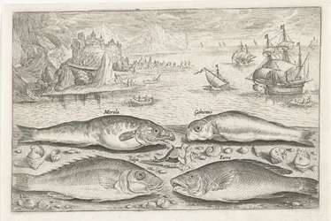 Quatre poissons sur la plage