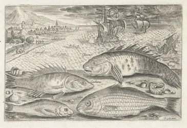 Quatre poissons sur la plage