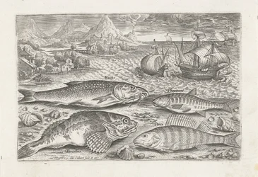 Quatre poissons sur la plage