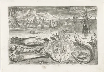 Quatre poissons sur la plage