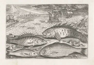 Quatre poissons sur la plage (Vissen, Piscivm vivae icones)