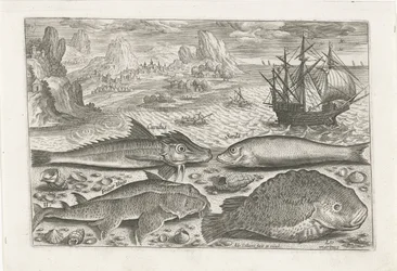 Quatre poissons sur la plage