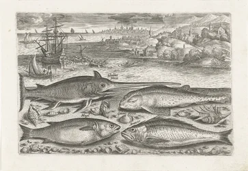 Quatre poissons sur la plage
