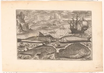 Quatre poissons sur la plage