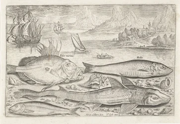 Quatre poissons sur la plage