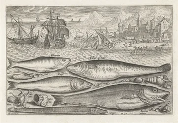 Cinq poissons sur la plage (Piscivm vivae icones)