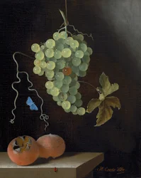 Nature morte avec une grappe de raisins suspendue, deux nèfles et un papillon