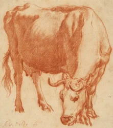 Une vache au pâturage, vers 1663