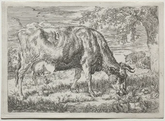 Vache et deux moutons au pied d