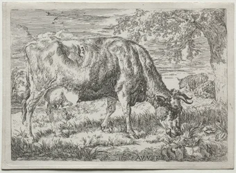 Vache et deux moutons au pied d