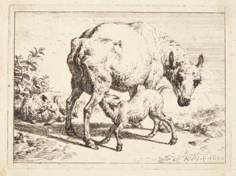 Moutons et deux agneaux