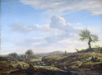 Paysage vallonné avec une route haute