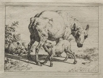 La brebis et deux agneaux