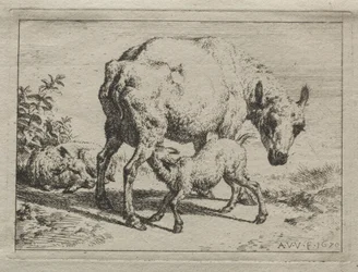 La brebis et deux agneaux, 1670