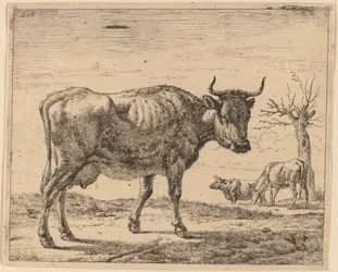 Trois vaches