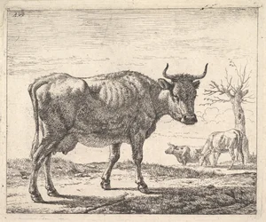 Trois vaches