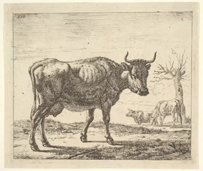 Trois vaches, de Différents animaux