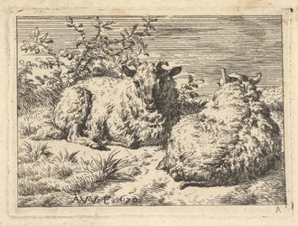 Deux moutons couchés, 1670